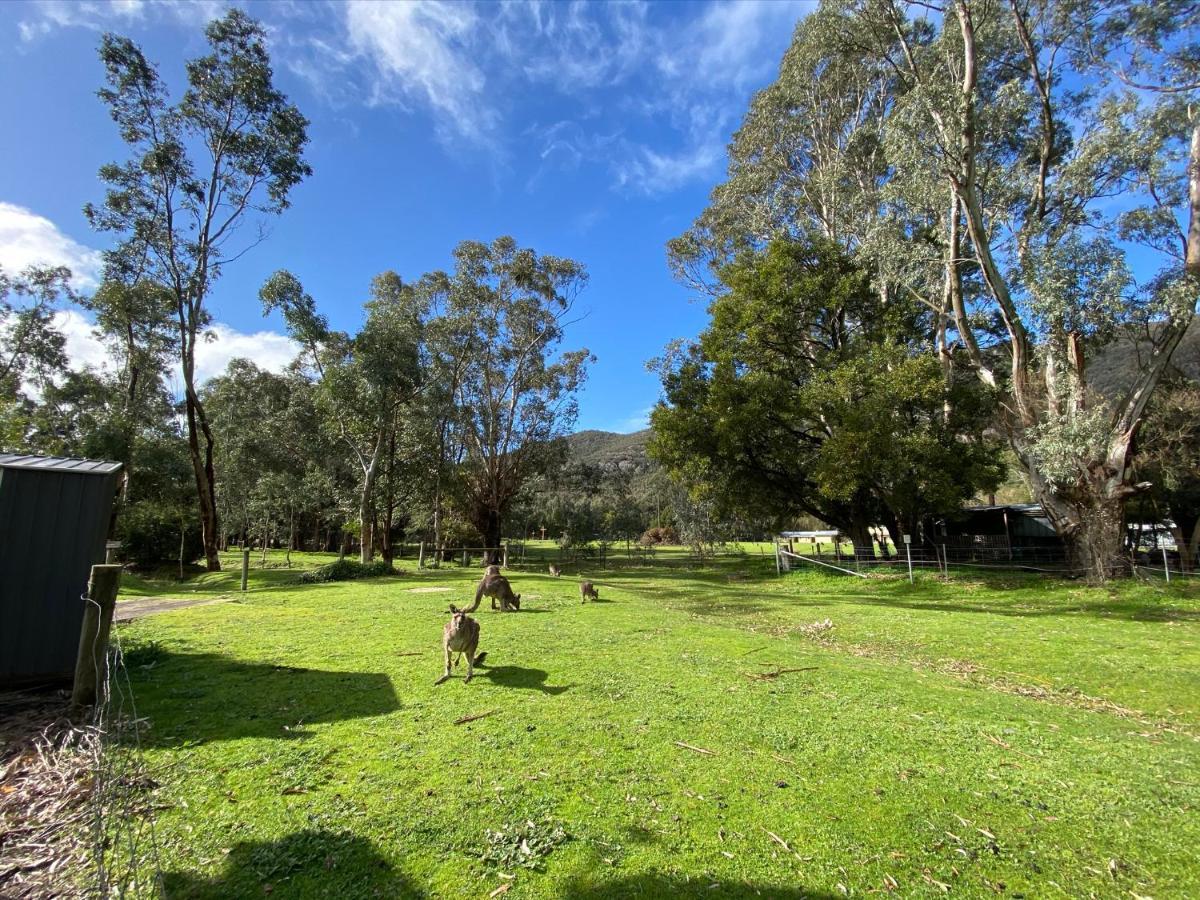 Kangurra House Villa Halls Gap Buitenkant foto